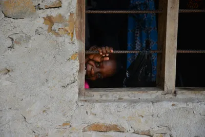 DSC_4744 (Large).JPG